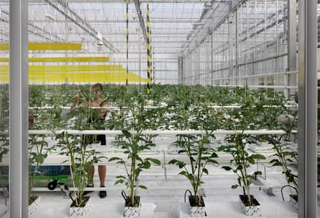 Rooftop Greenhouse Agrotopia